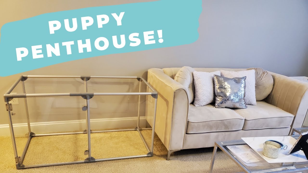 Puppy PENthouse! | Erica N. Williams