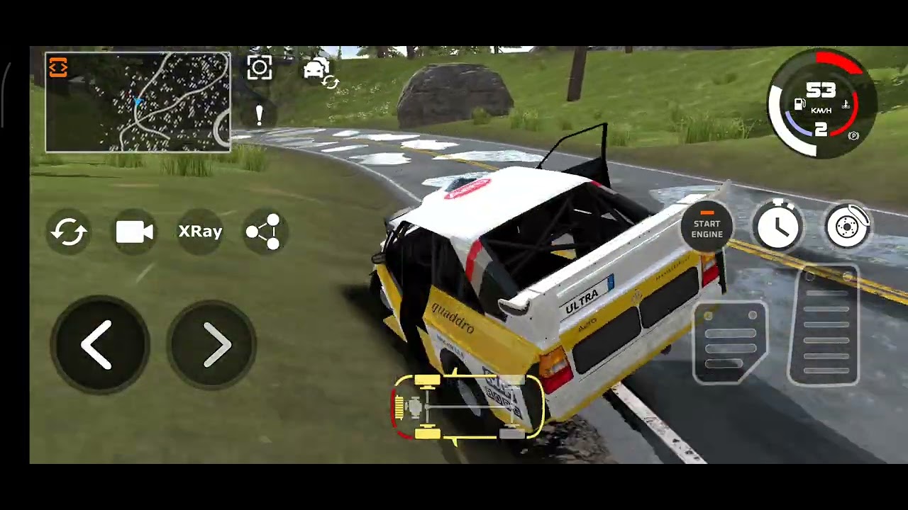 Rally z německým autem