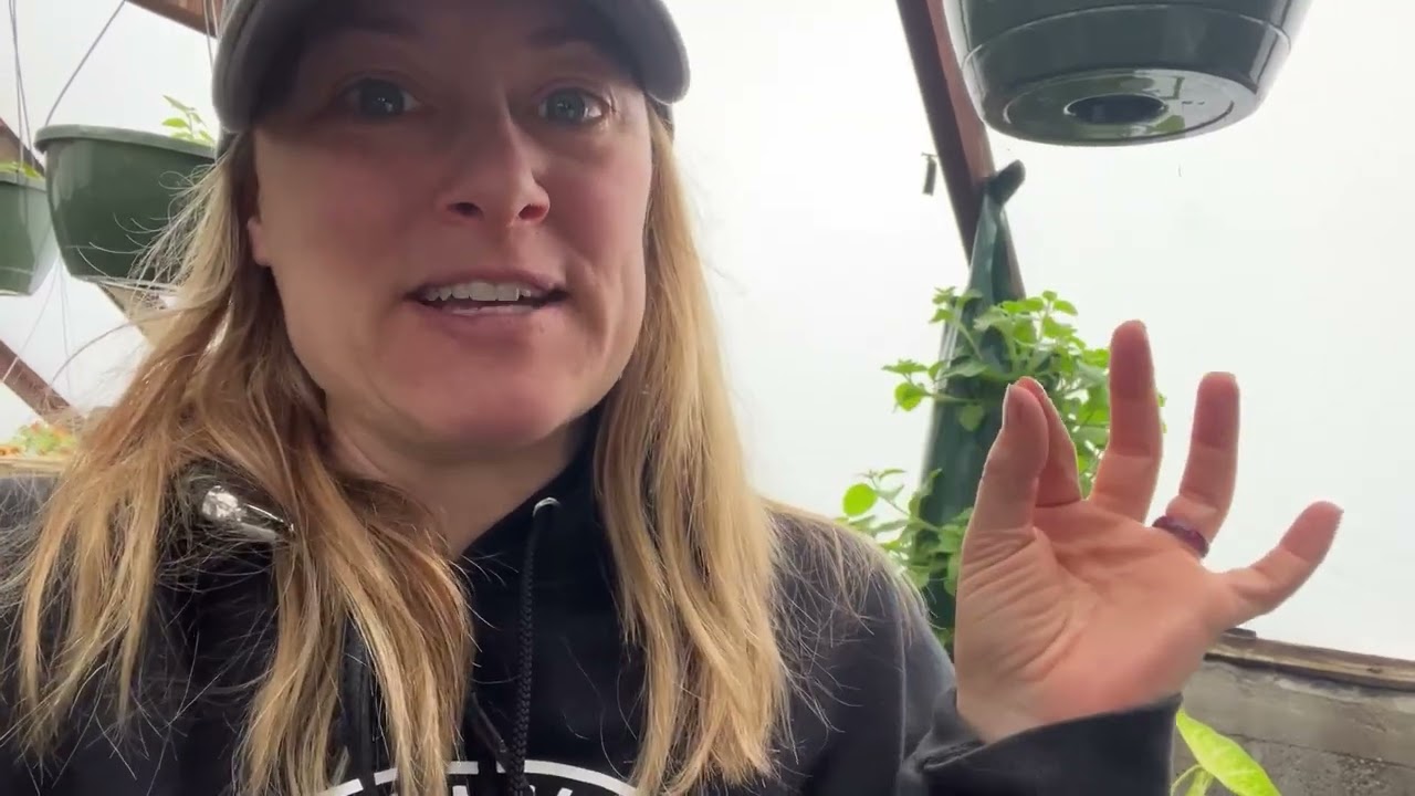 FULL Greenhouse/Nursery Tour: Mid-April : Upstate NY :  Flower Hill Farm
