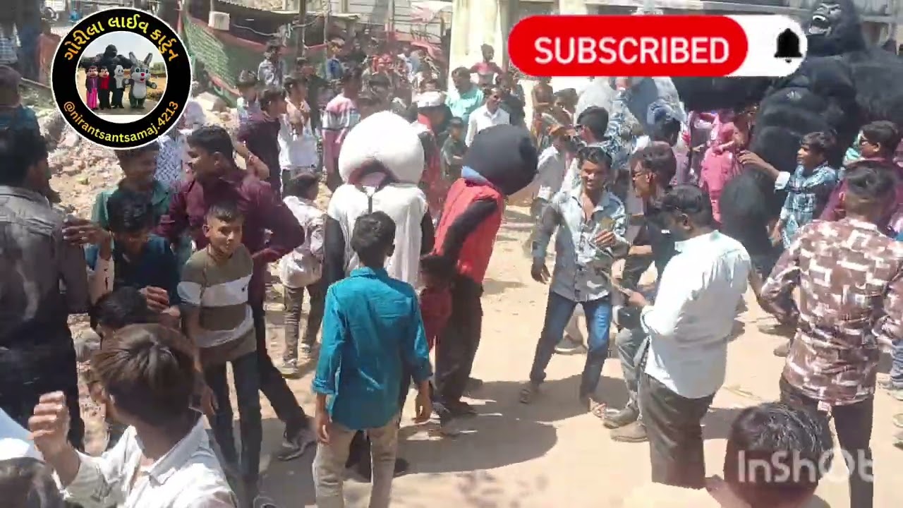 આમોદ ગામમાં ફુલ મોજ 