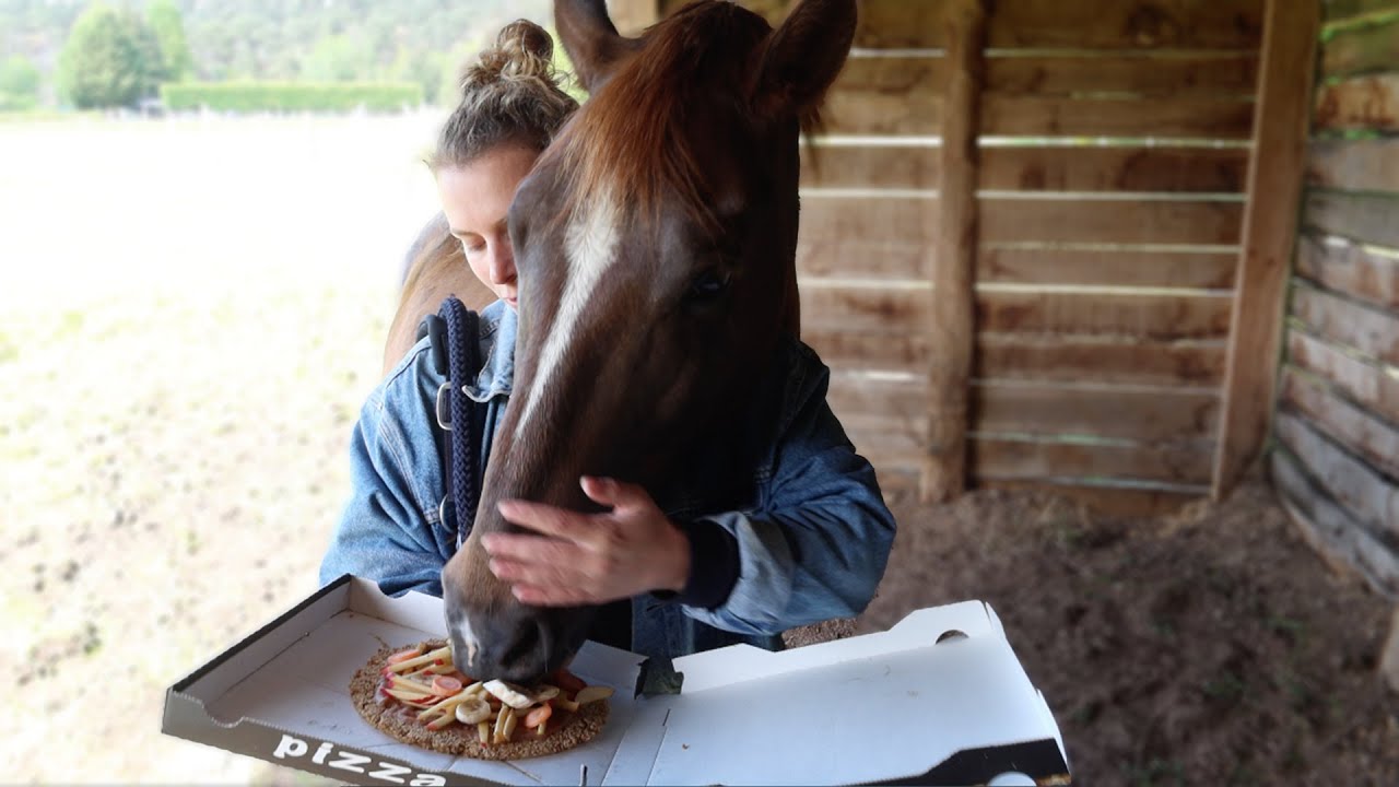 MES PONEYS MANGENT UNE PIZZZZZZZAAAAA
