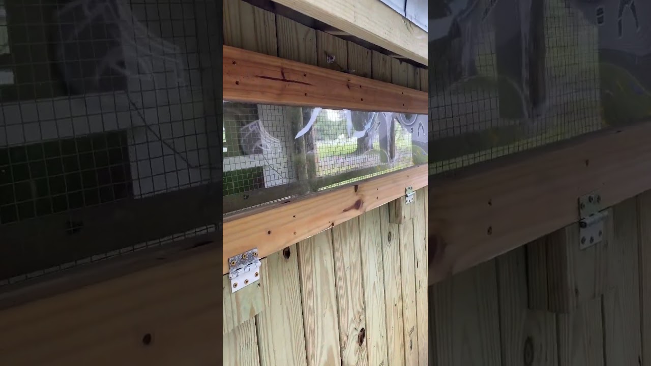 Chicken coop window ideas! #hardwarecloth #chickencoop #backyardchickens #hens #tipsandtricks