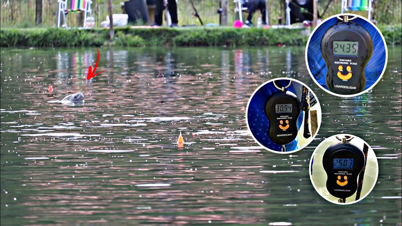 PESCARIA com EVA - A temporada ainda N&Atilde;O ACABOU!!