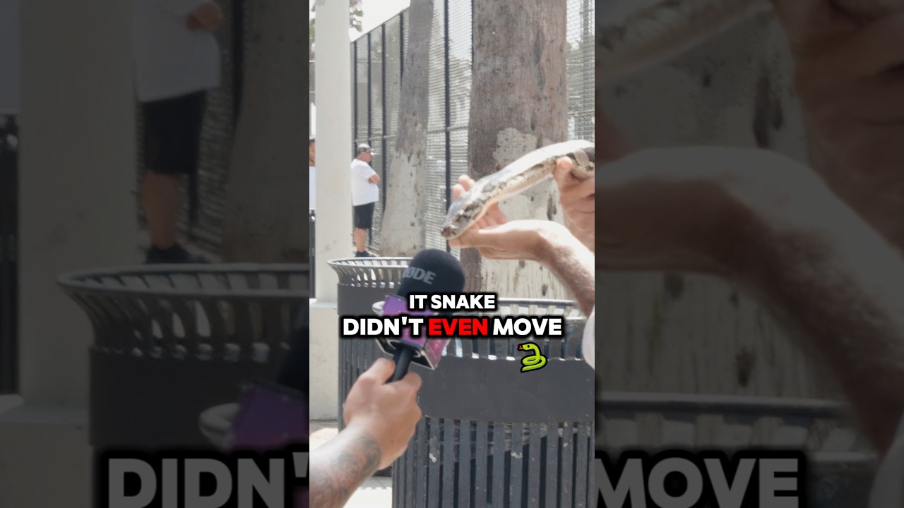 The snake hates him