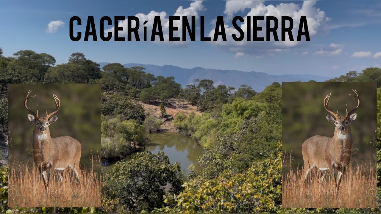Caceria en la Sierra ⛰️