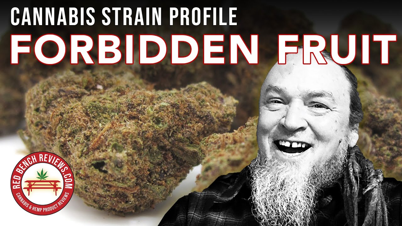 Forbidden Fruit Strain Profile