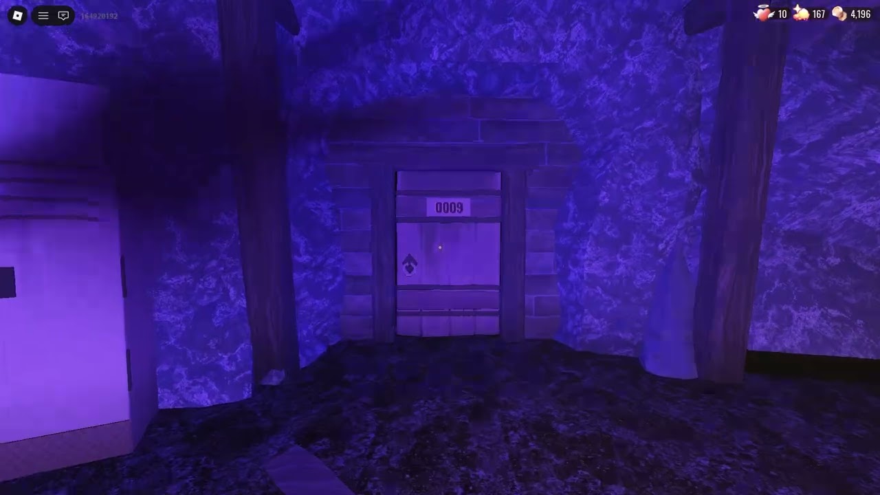 Daily Run Speedrun #20 (3:05) | Roblox Doors Daily Runs