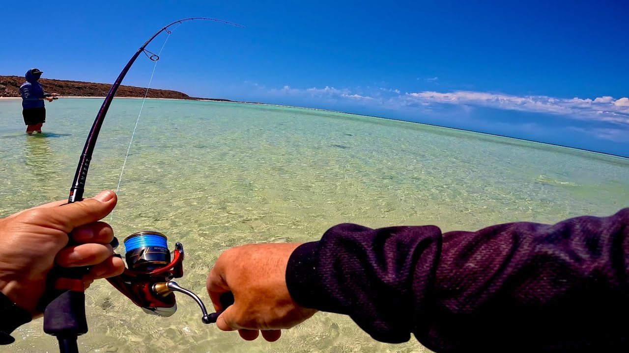 Wading SHARK INFESTED Waters To Find Flats Paradise