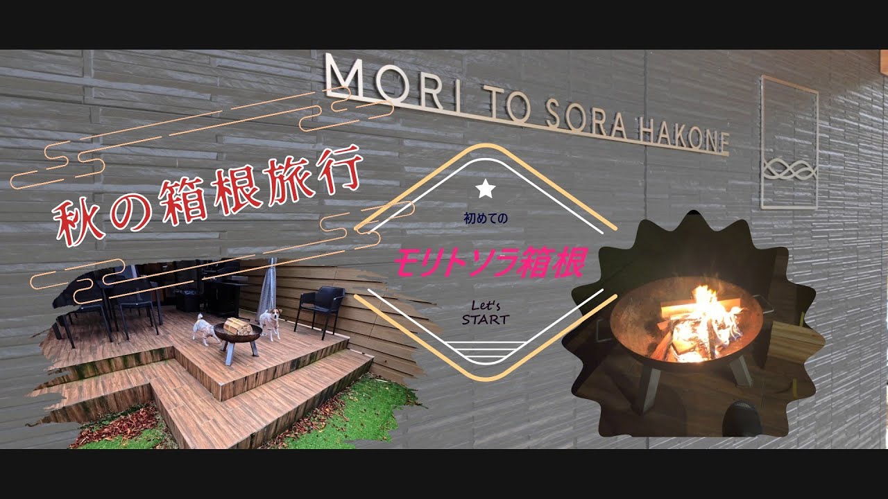 【わんこと旅行】モリトソラ箱根 　晩秋の箱根へ旅行