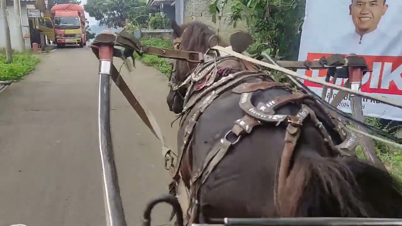 Naik Kuda Delman