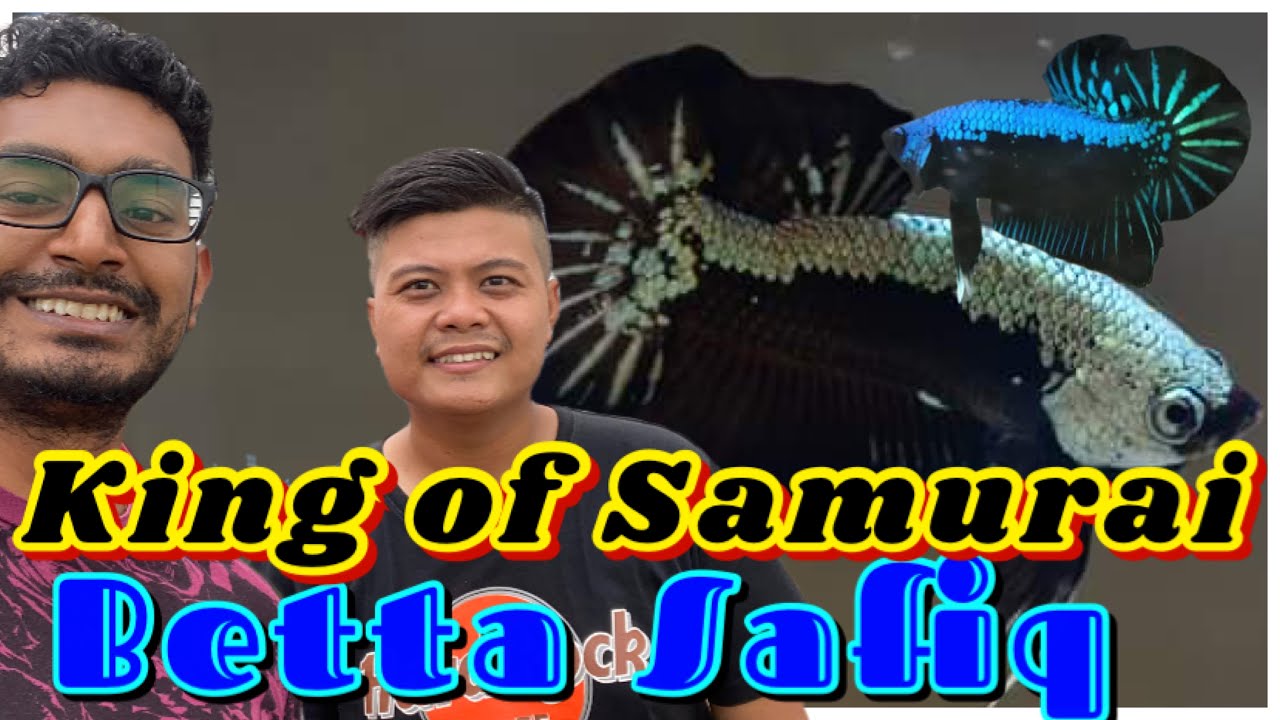 Pakar line SAMURAI & buat line sendiri by Betta Safiq