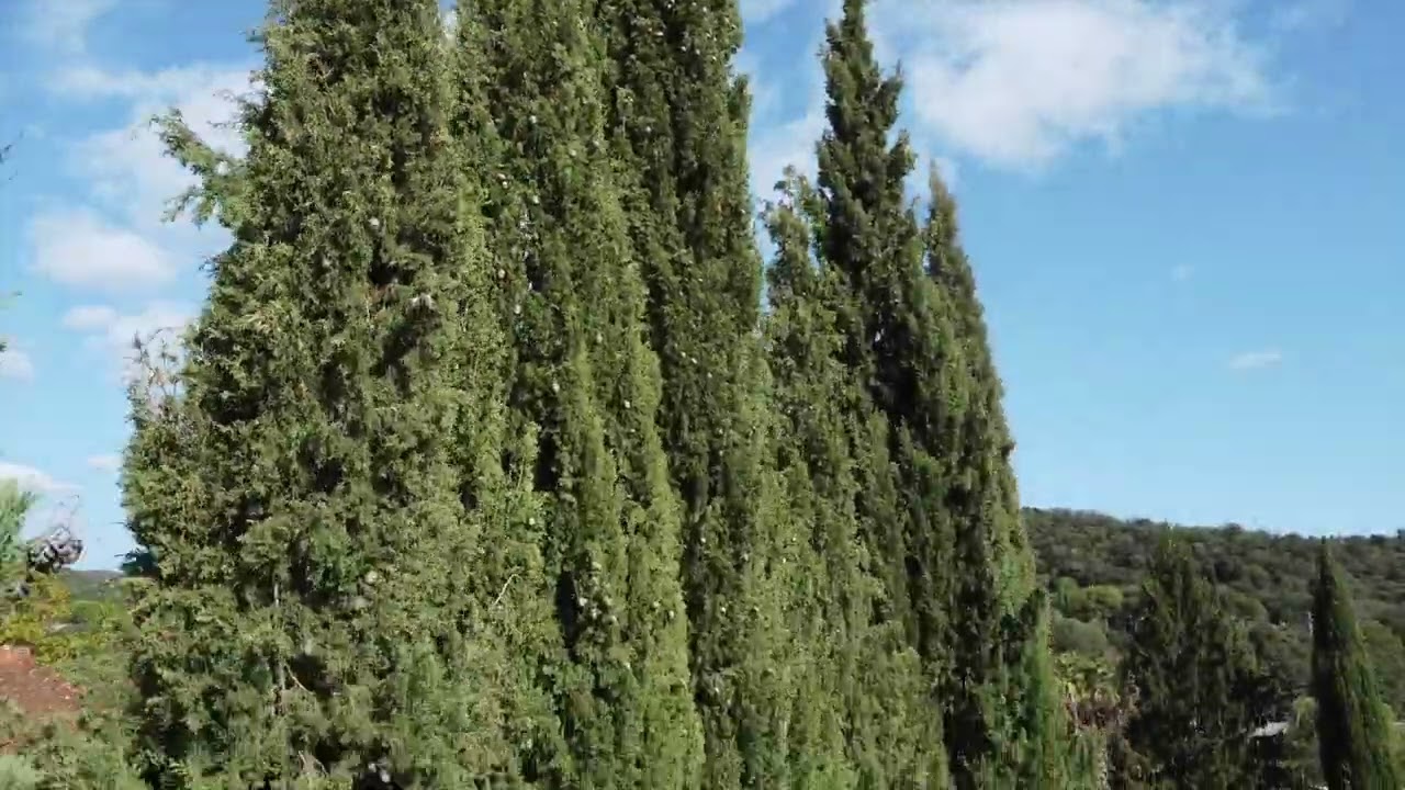 Restaurant La Dulcine - Reynès