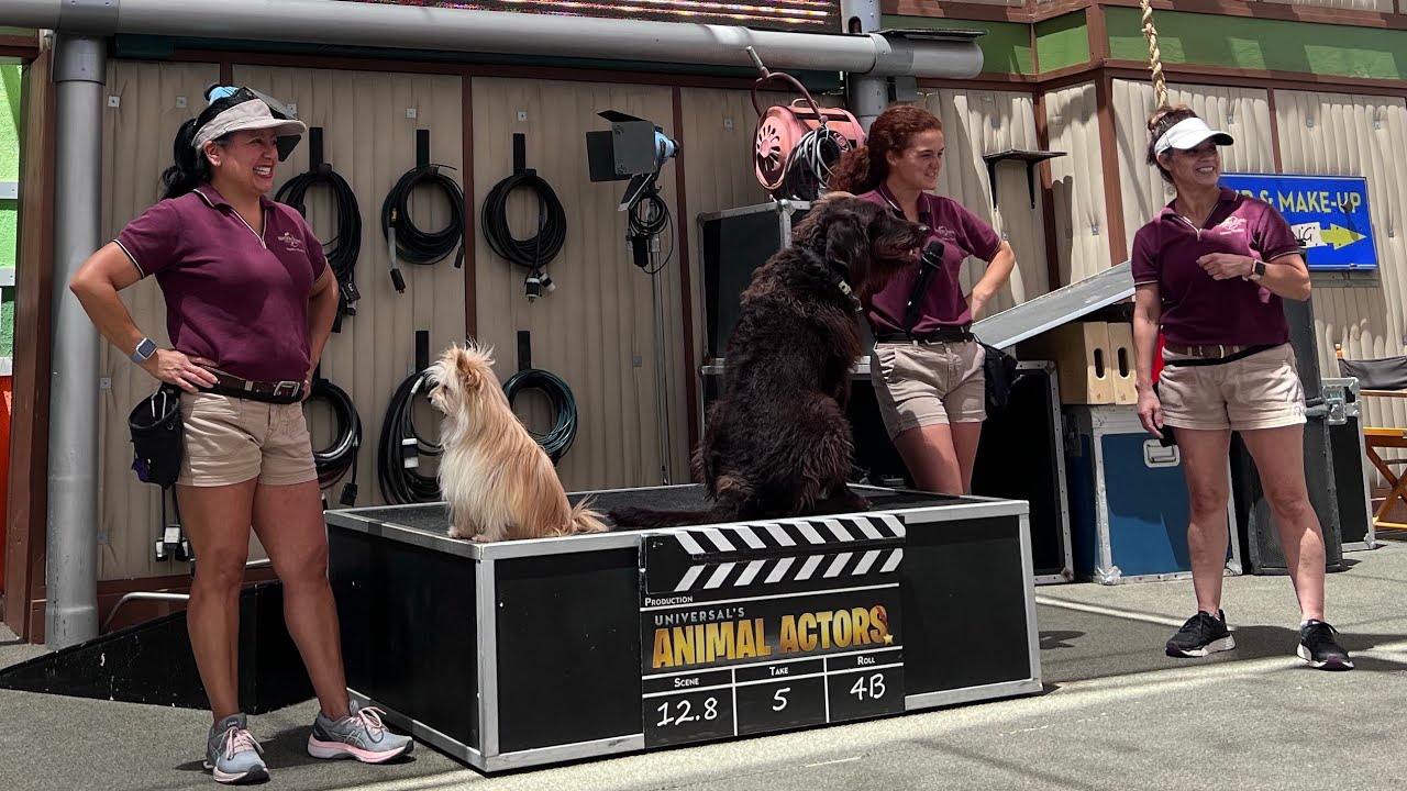 Animal Actors At Universal Studios Hollywood
