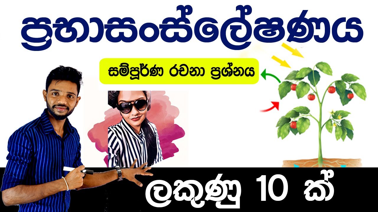 O/L Science in Sinhala - ප්‍රභාසංස්ලේෂණය | Photosynthesis | Grade 10 and Grade 11 Science | PassMe