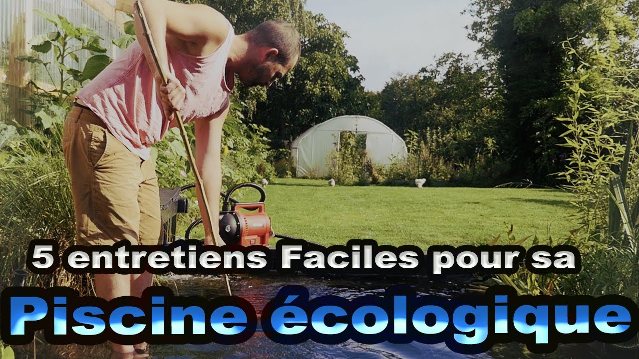 Les 5 choses à faire pour avoir une belle piscine écologique