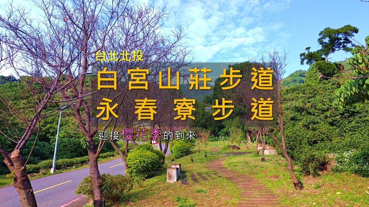 [台北北投] 櫻花祭必來，白宮山莊＋永春寮超輕鬆環狀步道