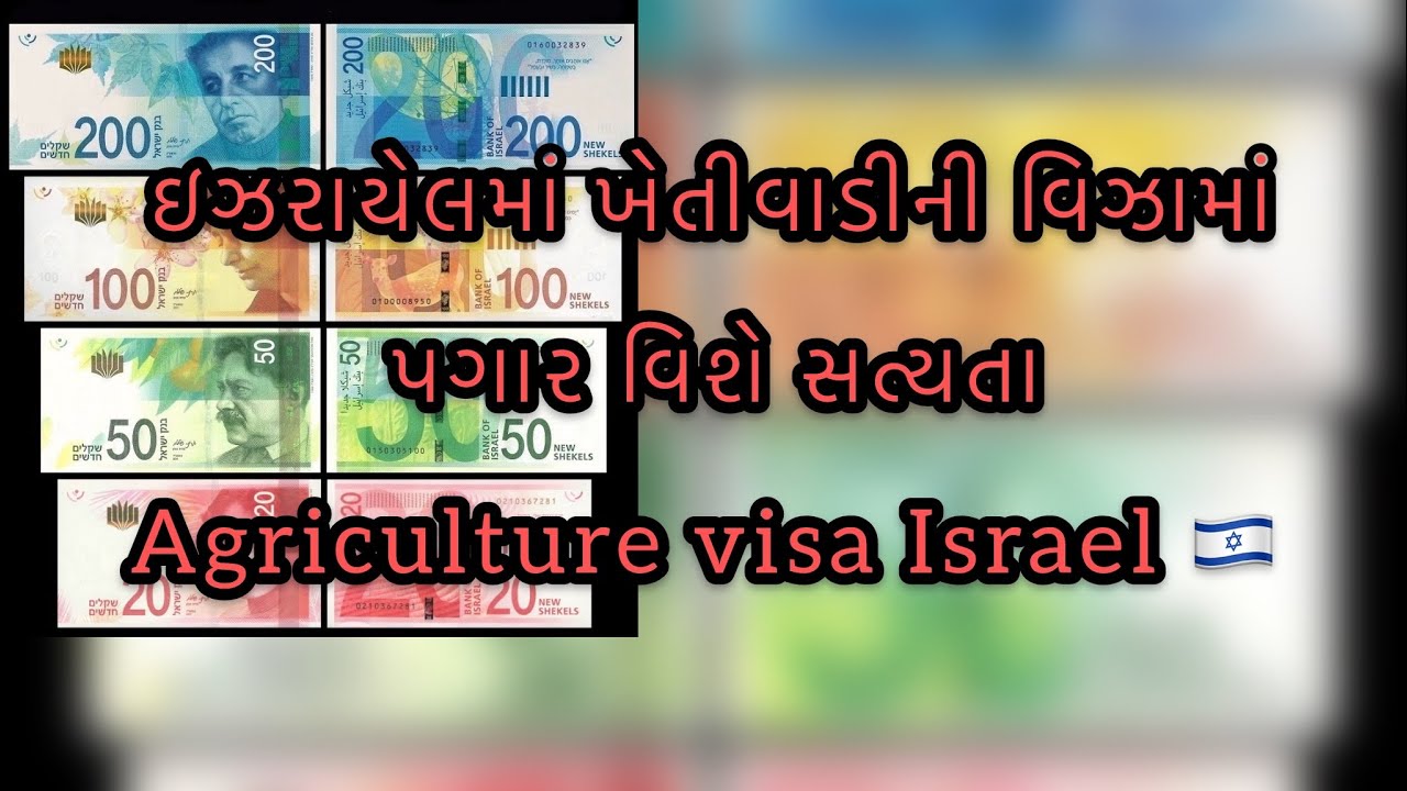 ઇઝરાયેલમાં ખેતીવાડીની વિઝામાં પગાર વિશે સત્યતા/ Agriculture visa israel 🇮🇱 @ DevishaAbroadlife