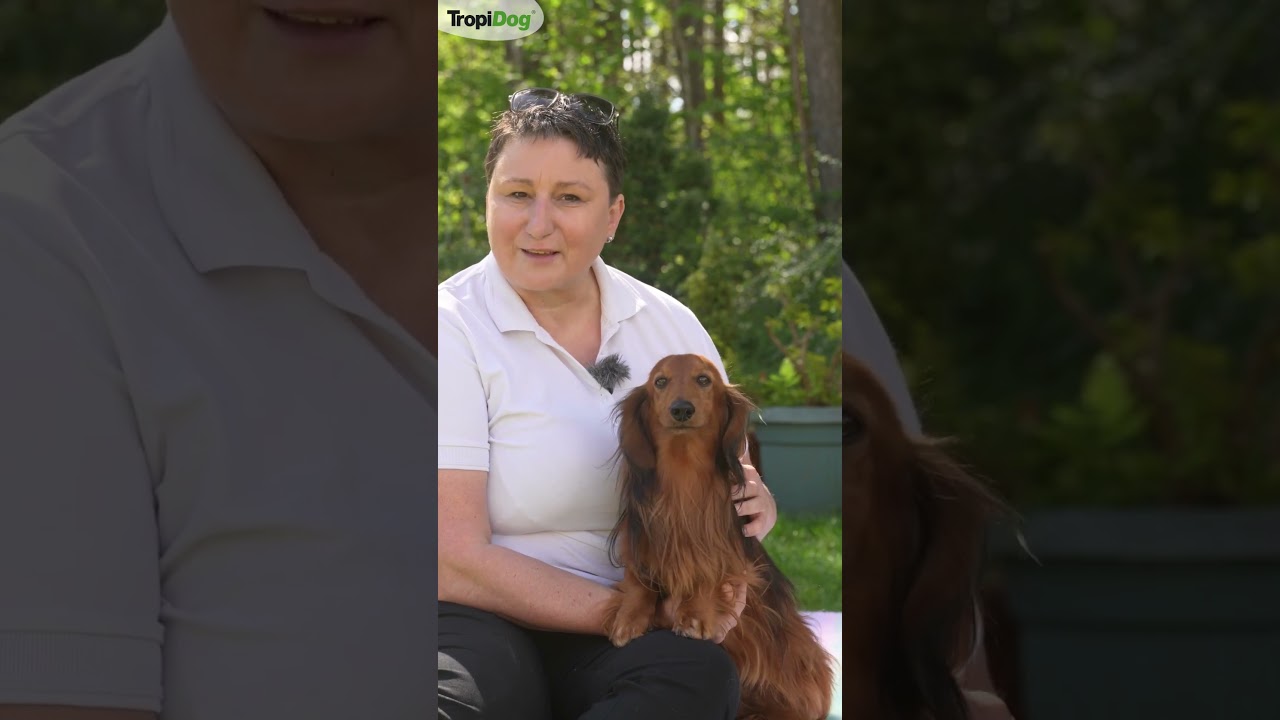 🐕‍🦺 Ten pies miał JEDNO zadanie 🦡