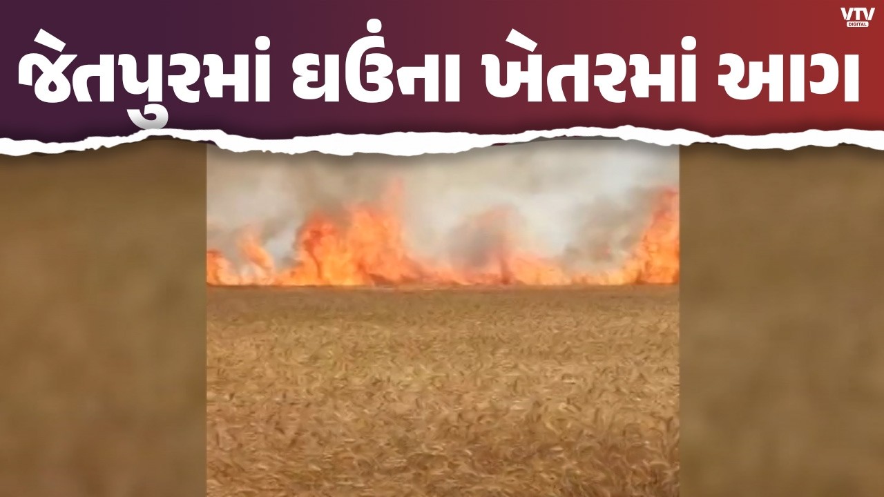 જેતપુર મેવાસામાં ઘઉંના ખેતરમાં ભીષણ આગ! TC વિસ્ફોટ બાદ 12 વીઘાનો પાક બળી ખાખ