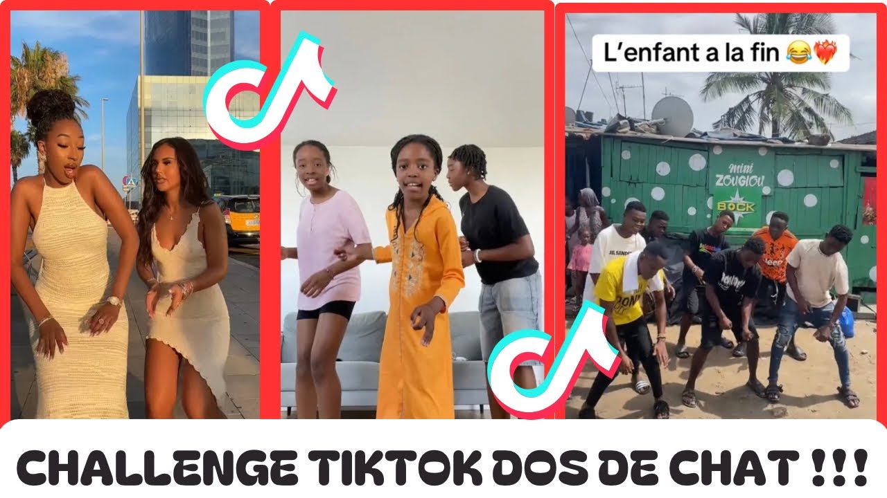 DOS DE CHAT - RENARD BARAKISSA - CHALLENGE TIKTOK 2024 #challenge #tiktok #dosdechat