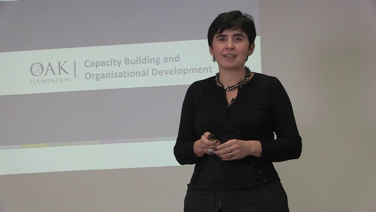 Capacity building: strengthening organisations