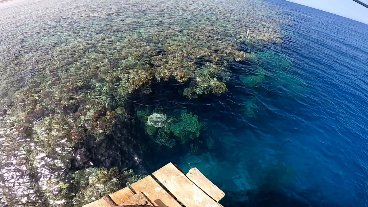 Рыбалка в Египте! Red Sea Fishing