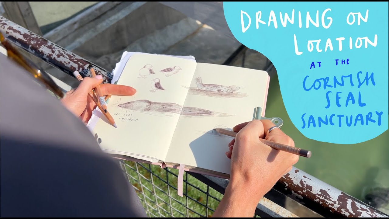 Drawing on Location at The Cornish Seal Sanctuary