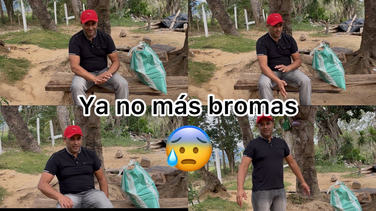 🔵Desde ahora será una persona seria🤔