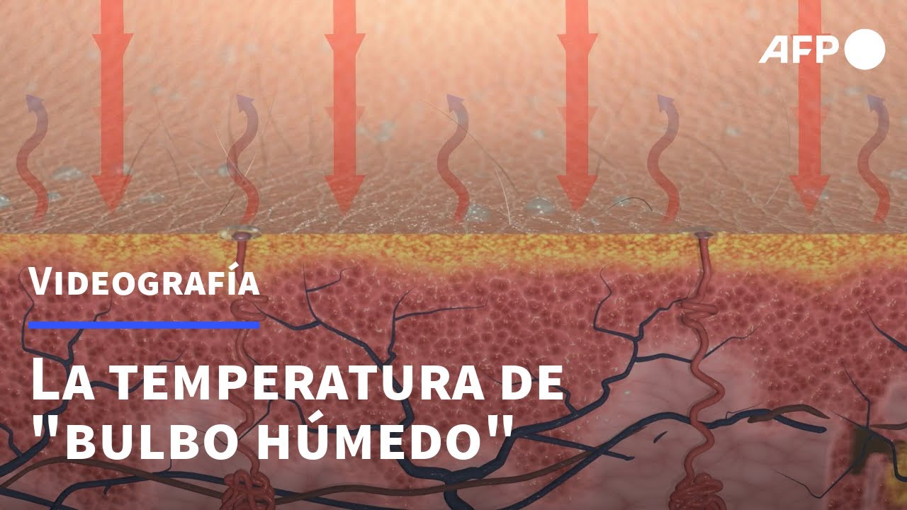 La temperatura de 