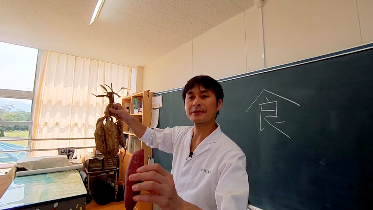 大崎町PRムービー「僕は、鹿児島県大崎町の、カブトムシ。」　ロングver.