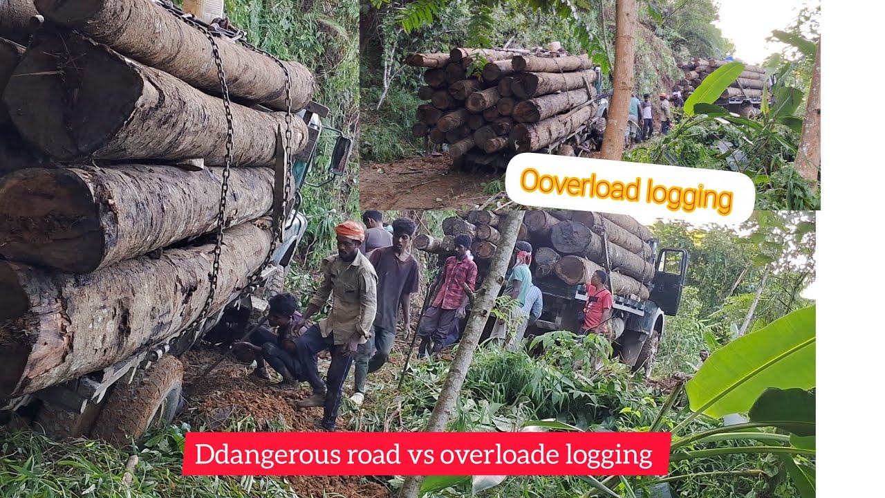 Off-road  overloaded logs //Dangerous Road vs overloaded logging   //mud driving 🚗 