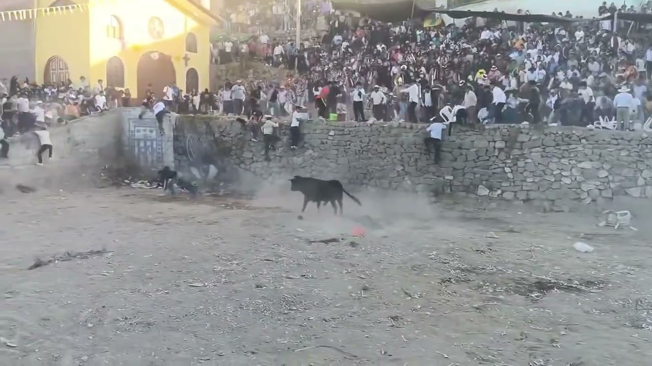 Ayacucho: toro escapa durante corrida y deja decenas de heridos en Andamarca