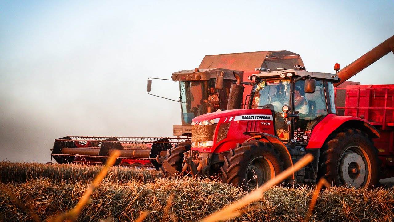 SEASON 2025 ♥//ŽNĚ 2025//HARVEST 2025//LÉTO//SUMMER
