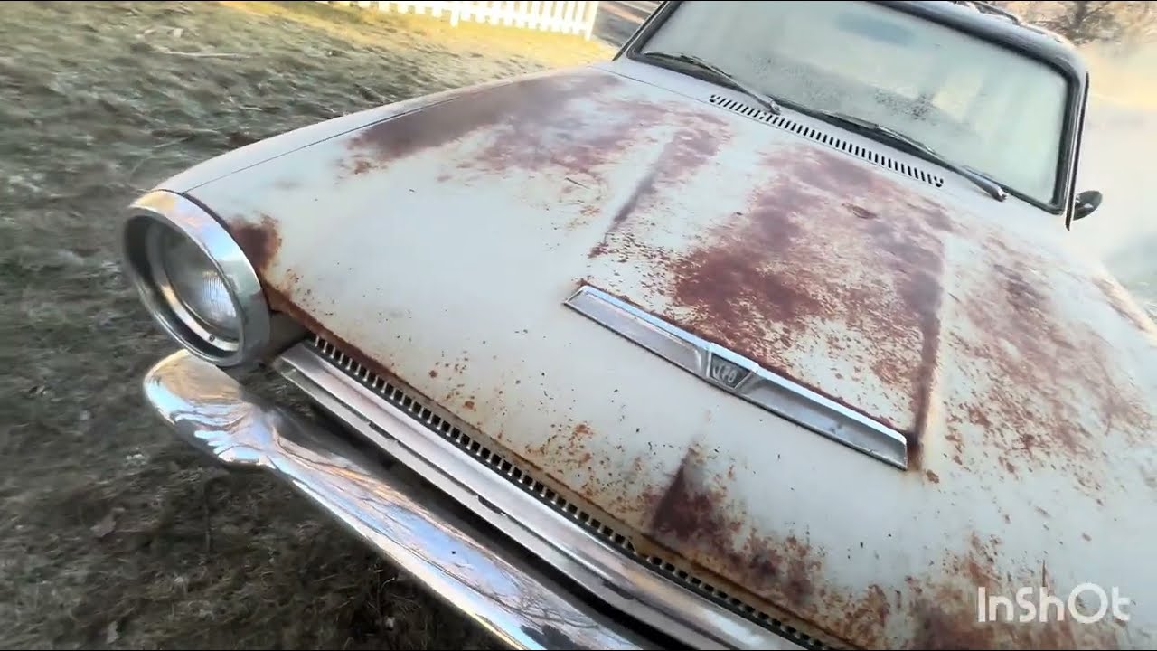 Morning cruise in the 1964 Dart Wagon.