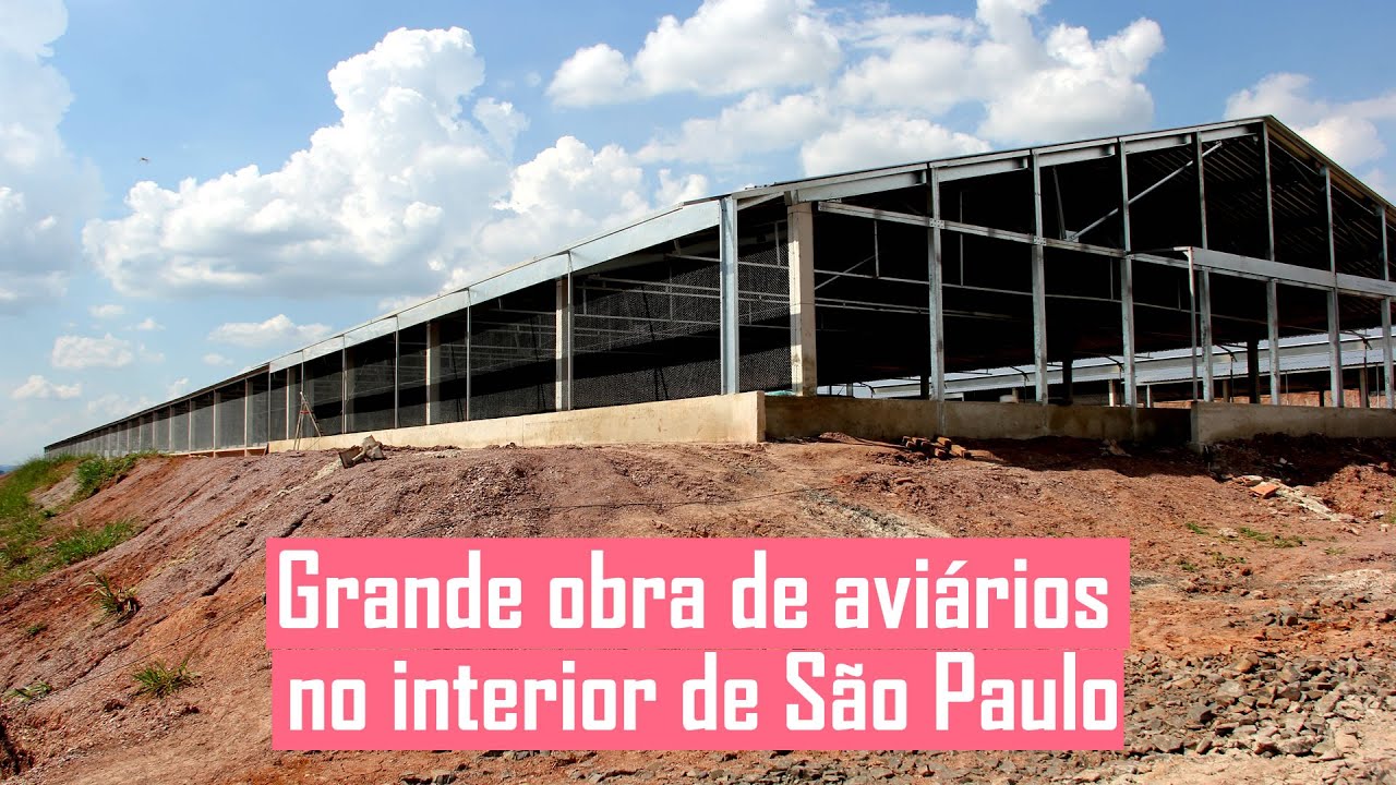 Grande obra de aviários no interior de São Paulo