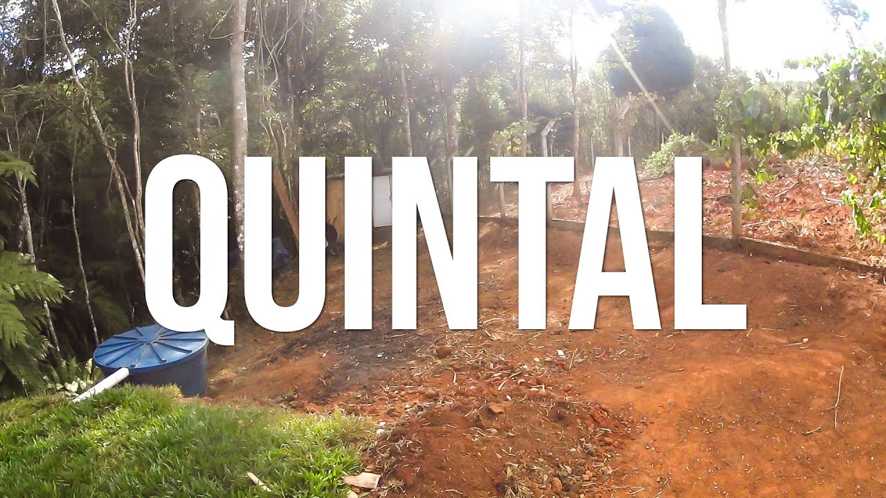 limpei o quintal