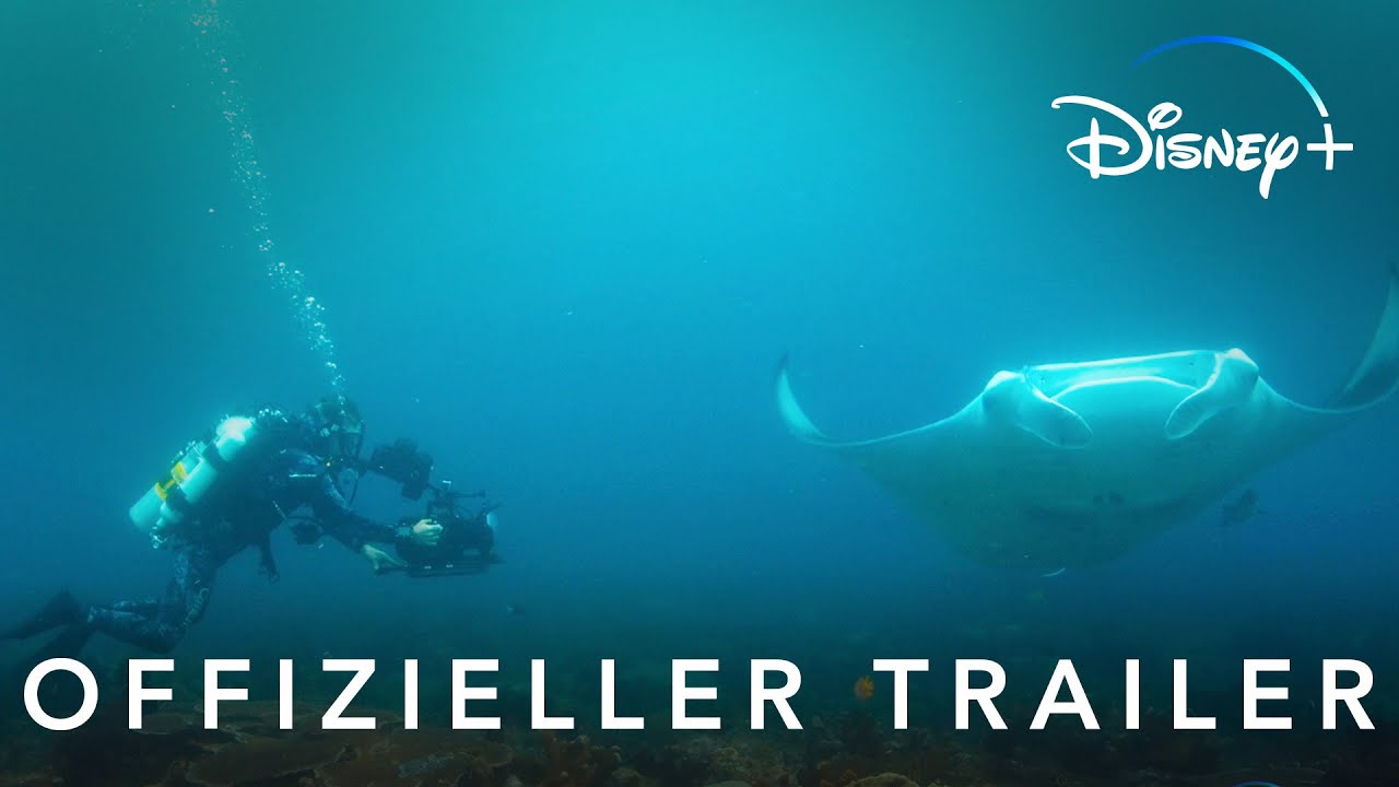 TIERE HAUTNAH MIT BERTIE GREGORY - Offizieller Trailer - Jetzt auf Disney+ streamen