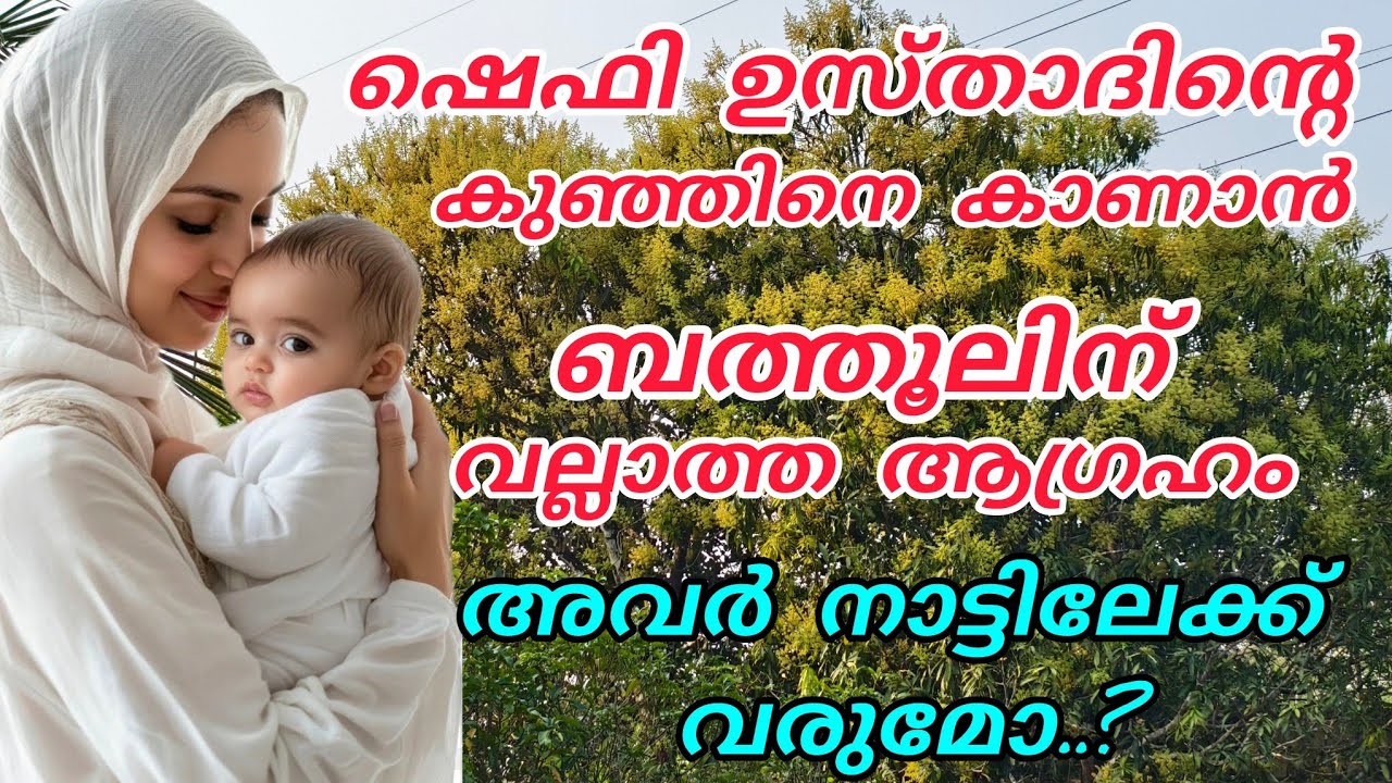 ഷെഫി ഉസ്താദിന്റെ കുഞ്ഞിനെ കാണാൻ🥰ബാത്തൂലിന് വല്ലാത്ത ആഗ്രഹം, അവർ നാട്ടിലേക്ക് വരുമോ? 