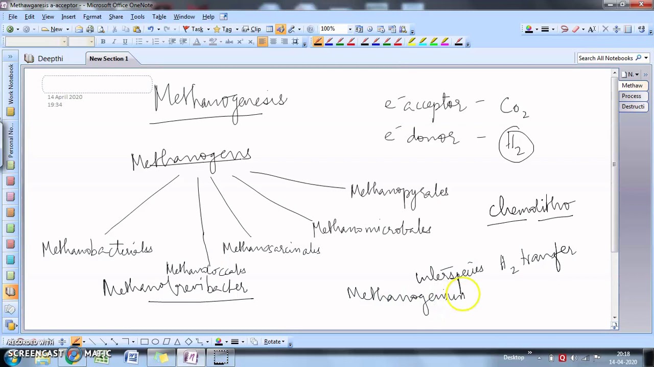 Methanogenesis | Diversity in Anoxic Ecosystems | Microbial Diversity