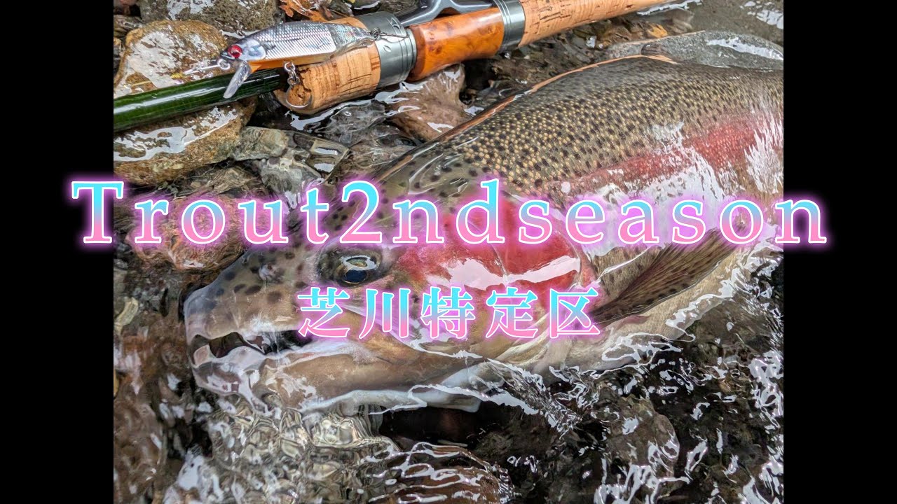 Trout2ndseason 芝川特定区
