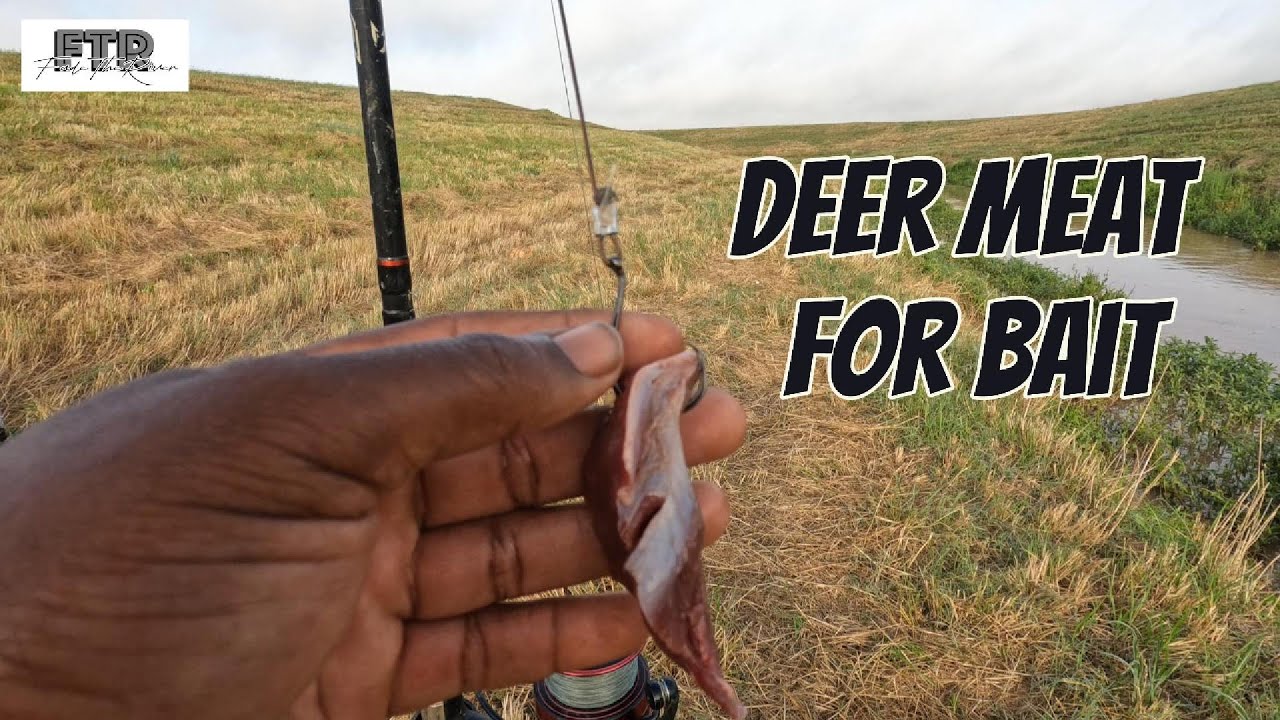 Using Deer Meat for Catfish Bait - Does it work? Fade The River Fishing Hunting