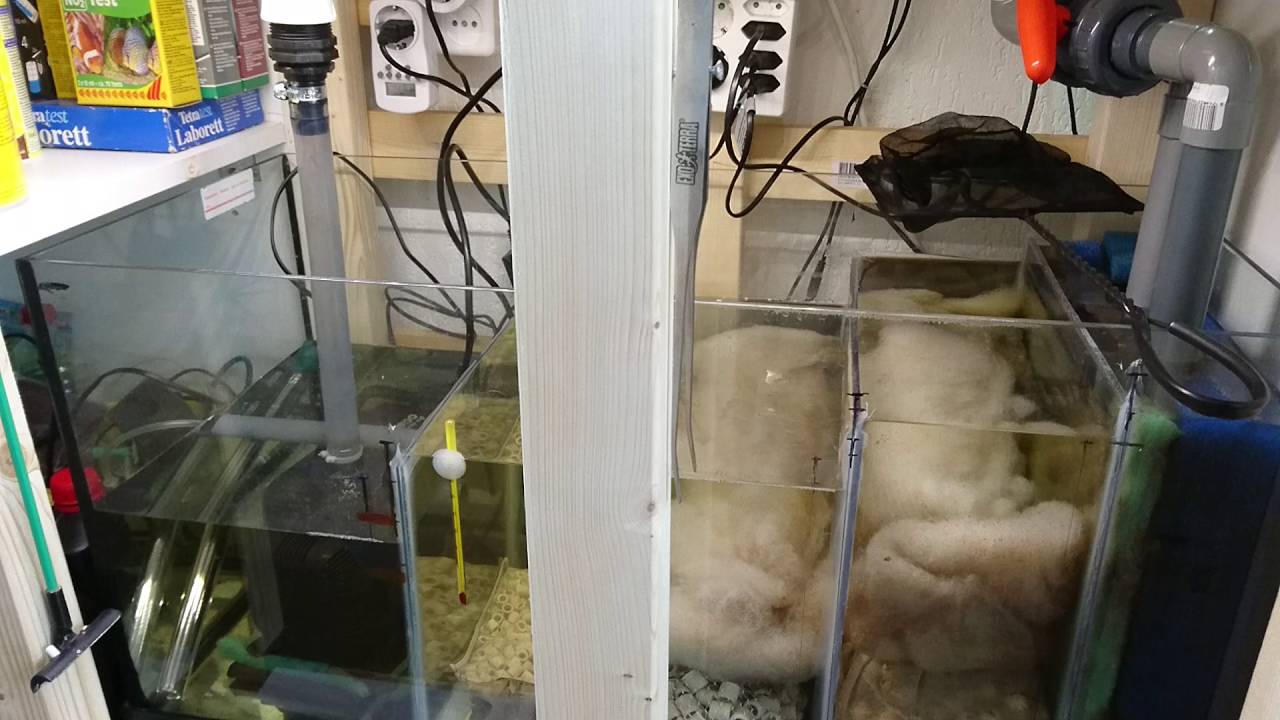 Sump, filtracja akwarium, diy aquarium sump