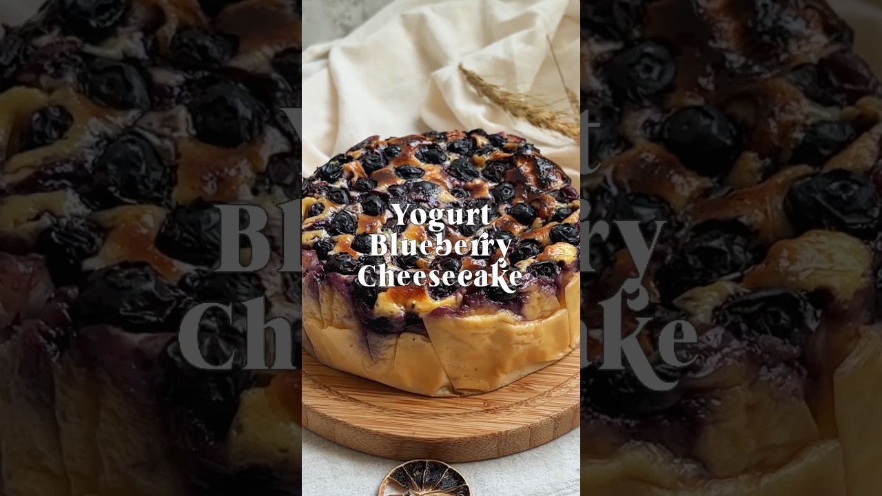 Bikin Dessert cuman 6 bahan aja! Mari kita buat Yogurt Blueberry Cheesecake🍰 #yogurtcake #dessert