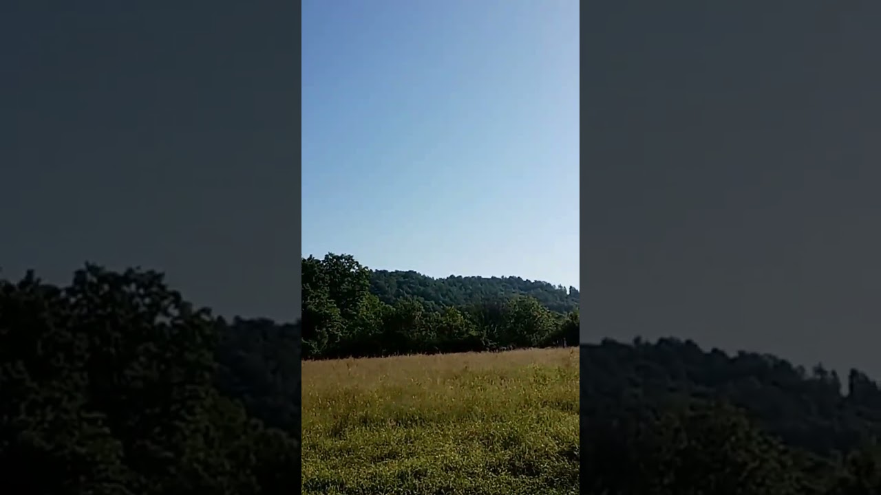 Sunčano jutro
