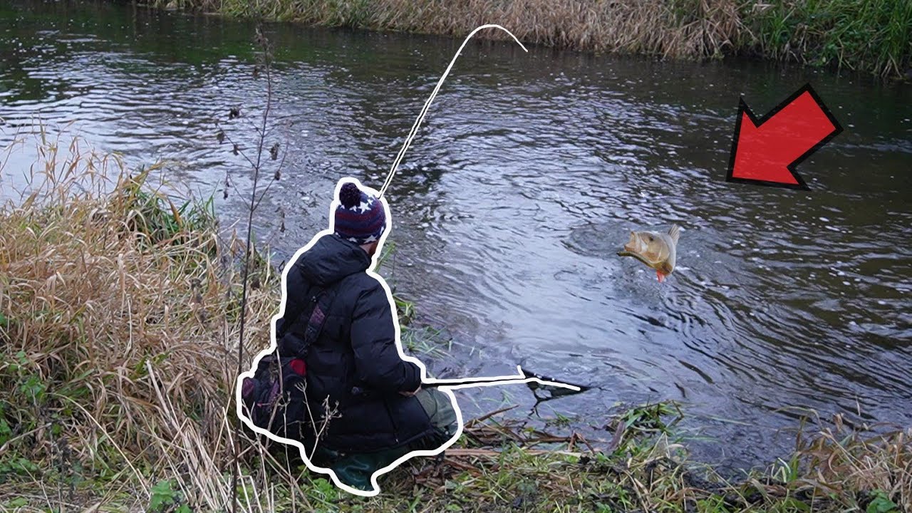 These River Pigs Crush The Ned Rig!  None Stop Action!