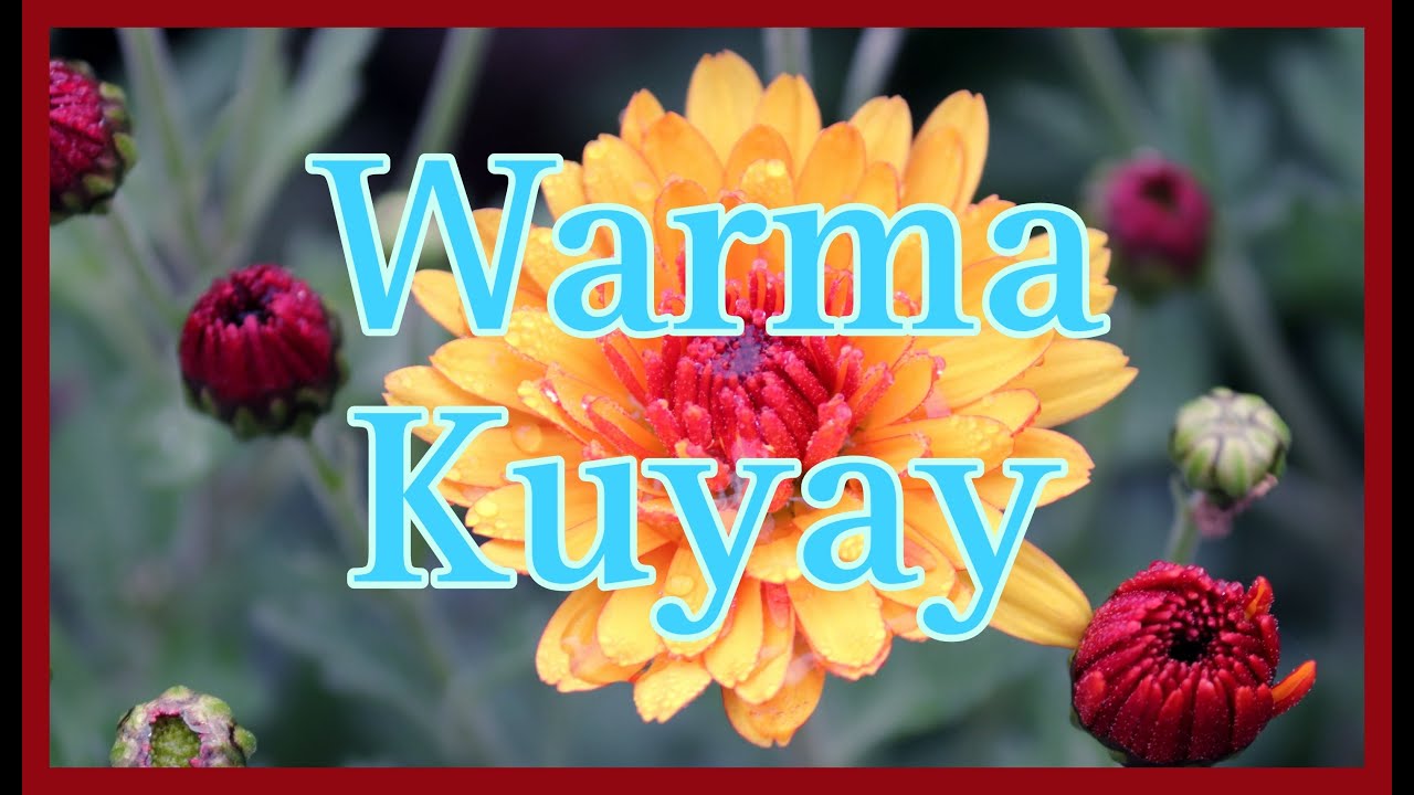 Warma Kuyay - Jos&eacute; Mar&iacute;a Arguedas (cuento completo)