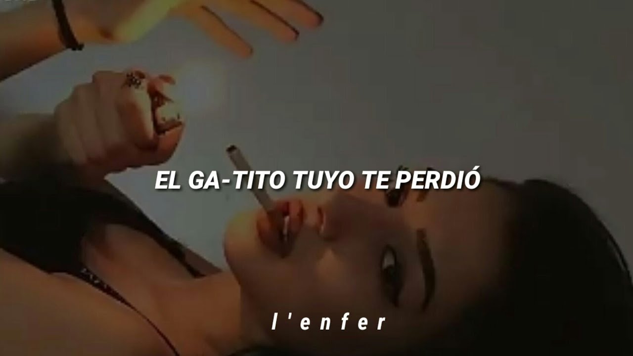 el gatito tuyo te perdió por negligencia [Letra/tiktok]