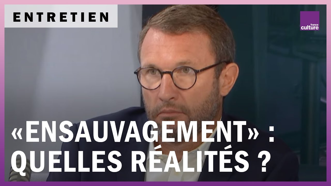 &ldquo;Ensauvagement&rdquo; : quelles r&eacute;alit&eacute;s derri&egrave;re la pol&eacute;mique ?