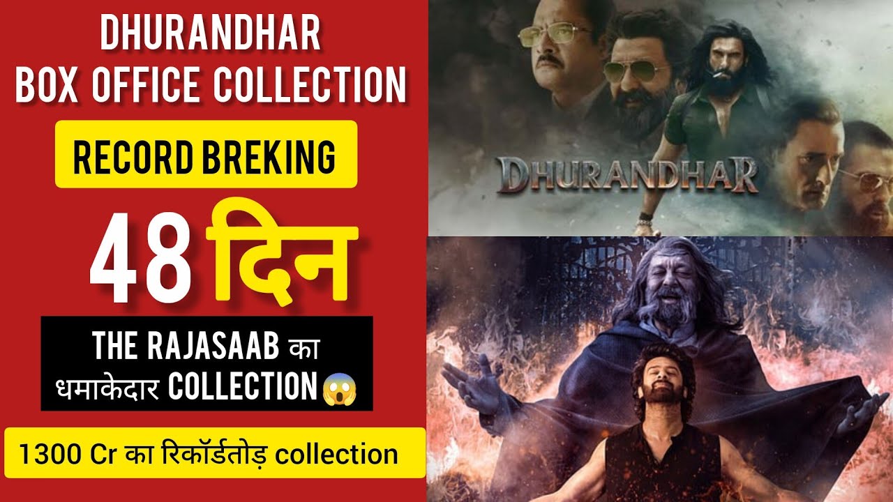 Dhurandhar Box Office Collection | The Raja Saab Box office collection | Day 48 | Filmi MT