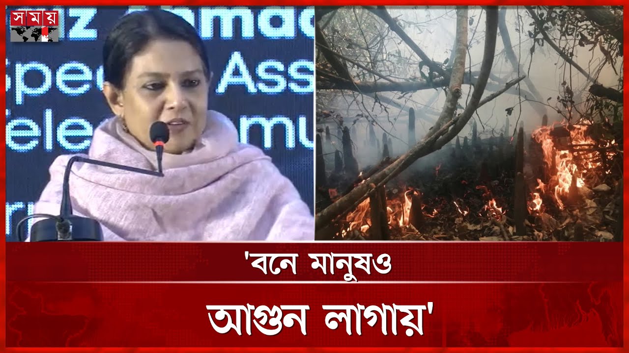 &lsquo;সুন্দরবনের কিনারে গাছ আছে, মাঝখানে ফাঁকা&rsquo; | Syeda Rizwana Hasan | Environment Advisor | Somoy TV